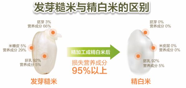 以匠心致創(chuàng)新丨東芝電飯煲匠心創(chuàng)發(fā)芽好米 圖2
