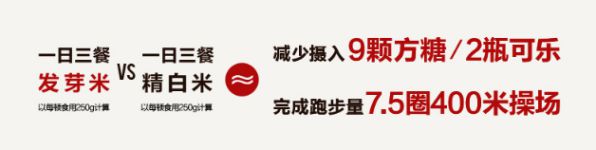 以匠心致創(chuàng)新丨東芝電飯煲匠心創(chuàng)發(fā)芽好米 圖3
