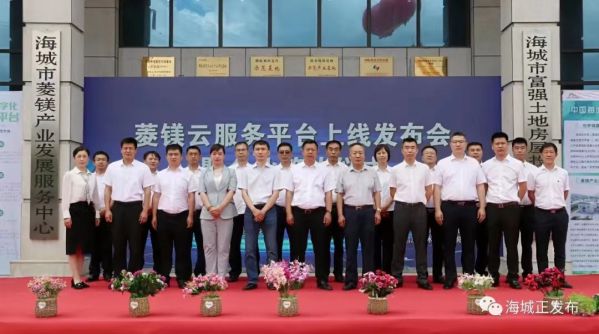 思特奇研發(fā)建設(shè) | 菱鎂產(chǎn)業(yè)數(shù)字化公共服務(wù)平臺正式上線運(yùn)行
