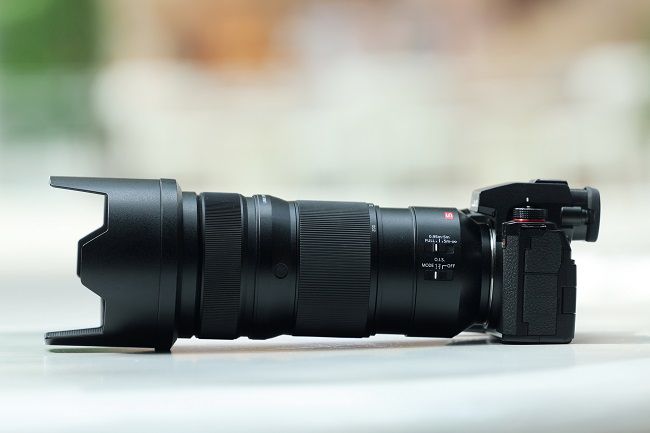 令人印象深刻的自動對焦性能，使用松下LUMIX S5M2拍攝寵物有感 圖4