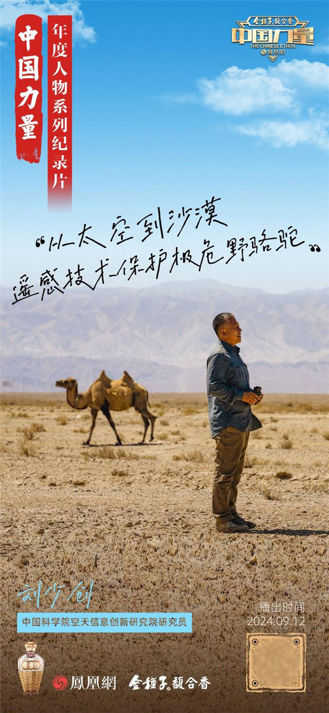 《2024中國力量年度人物》 劉少創(chuàng)：荒漠之境，守護(hù)瀕危野駱駝
