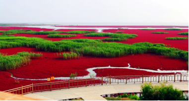 紅海灘國家風景廊道景色 圖3